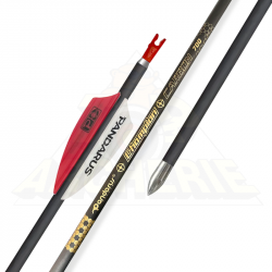 Flèches Pandarus Champion