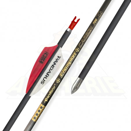 Flèches Pandarus Champion