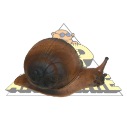 Cible 3D Wild Life Escargot