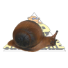 Cible 3D Wild Life Escargot